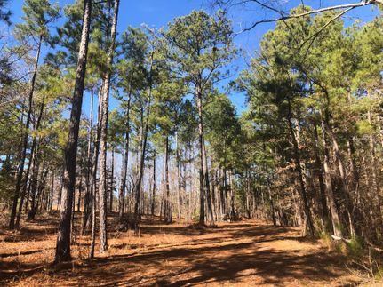 Farm and Ranch in McCormick County, South Carolina