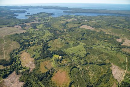Timberland Property in Clallam County, Washington