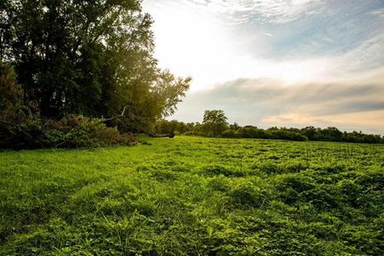 Land in Pike County, Missouri