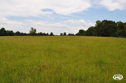 Timberland Property in Panola County, Mississippi