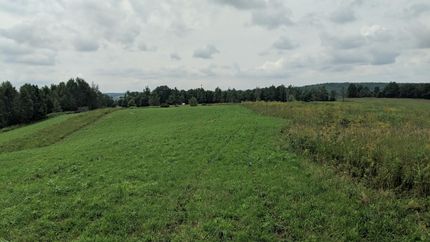 Farm and Ranch in Chenango County, New York