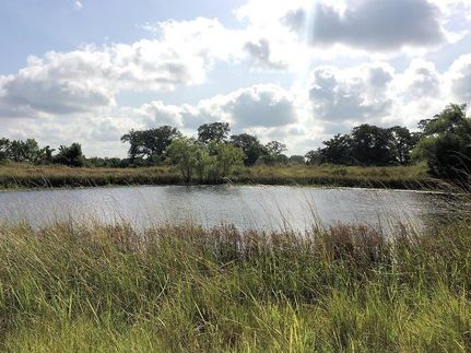 Farm and Ranch in Caldwell County, Texas