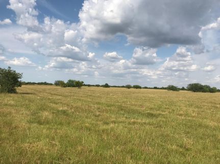 Farm and Ranch in Waller County, Texas