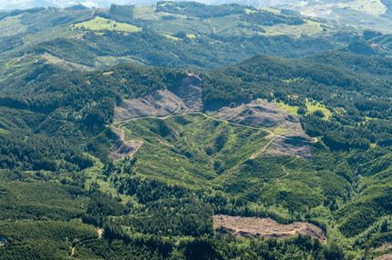 Land in Curry County, Oregon