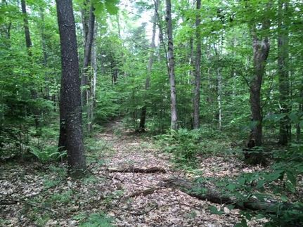 Commercial Property in Oswego County, New York