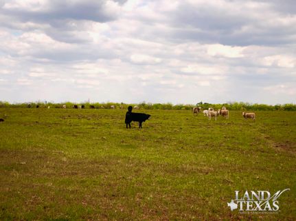 Timberland Property in Atascosa County, Texas