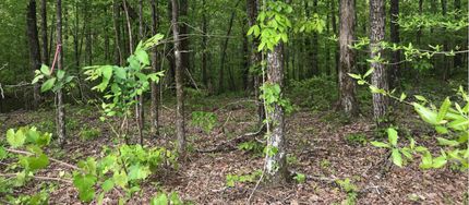 Farm and Ranch in Cullman County, Alabama