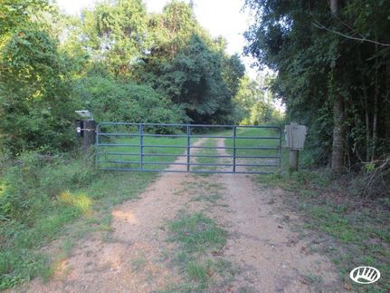 Waterfront Property in Lawrence County, Mississippi