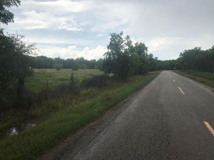 Timberland Property in Brazoria County, Texas