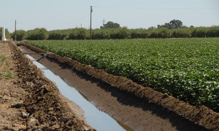 Farm and Ranch in Merced County, California