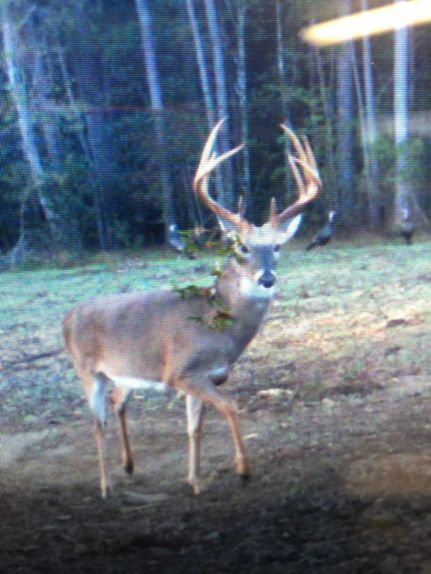 Land in Webster County, Georgia