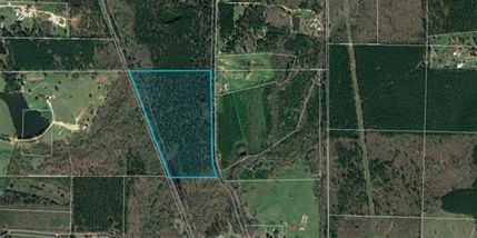 Undeveloped Land in Cass County, Texas