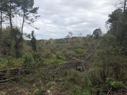Undeveloped Land in Perry County, Alabama
