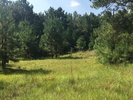 House in Tyler County, Texas