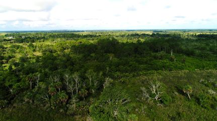 Hunting Property in Saint Lucie County, Florida