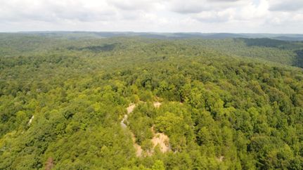 Land in Wayne County, Kentucky