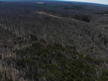 Land in Louisa County, Virginia