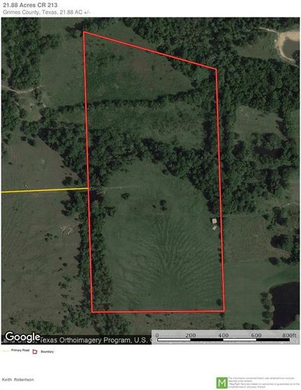 Timberland Property in Grimes County, Texas