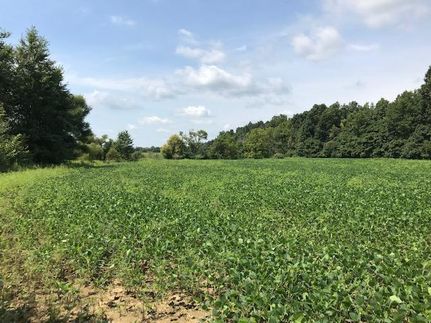 Land in Clinton County, Ohio