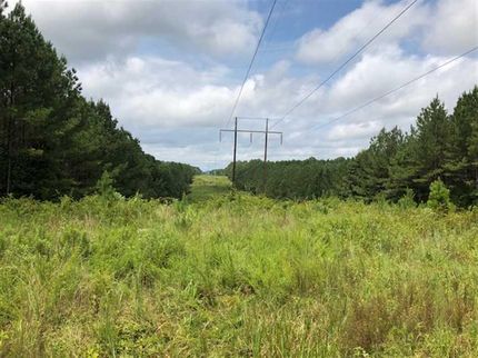 Timberland Property in Union County, Mississippi