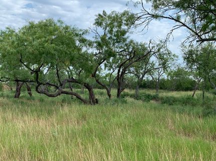 Timberland Property in Wilson County, Texas