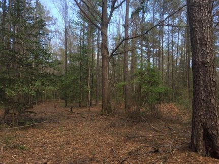 Recreational Property in Pike County, Alabama