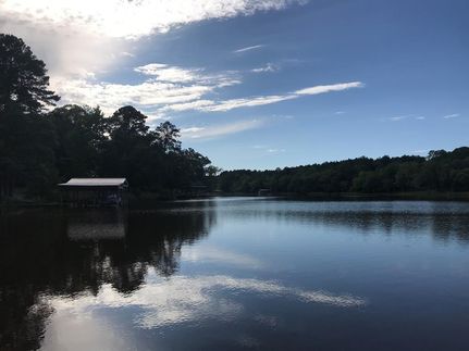 Undeveloped Land in Houston County, Texas