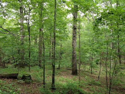 Recreational Property in McNairy County, Tennessee