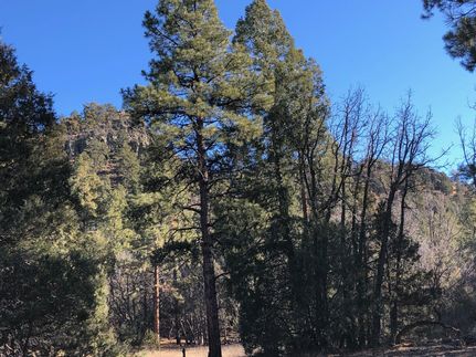 Recreational Property in Catron County, New Mexico