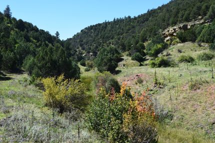 Farm and Ranch in Las Animas County, Colorado
