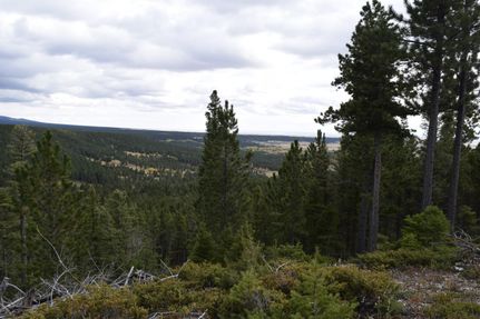 Hunting Property in Fergus County, Montana