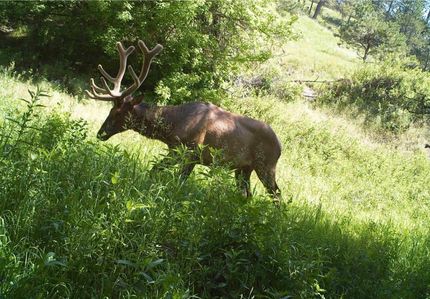 Recreational Property in Dawes County, Nebraska