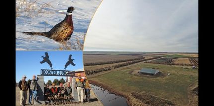 Land in Box Butte County, Nebraska