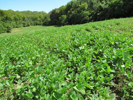 Land in Atchison County, Kansas