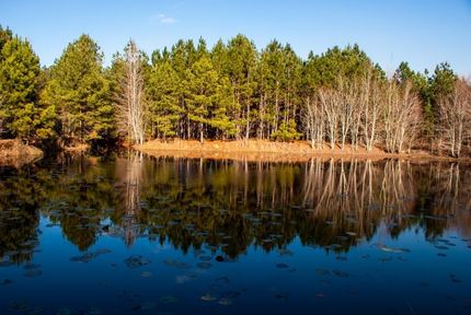 Land in Screven County, Georgia