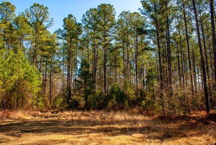 Farm and Ranch in Orangeburg County, South Carolina