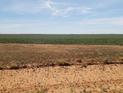 Farm and Ranch in Parmer County, Texas