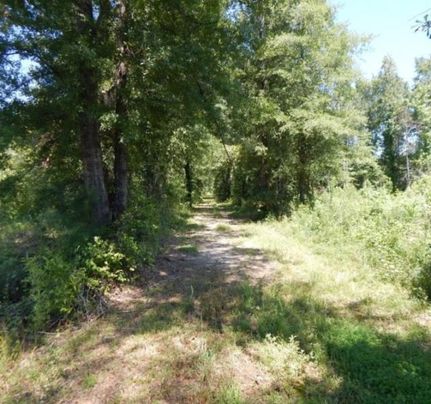 Land in Kemper County, Mississippi