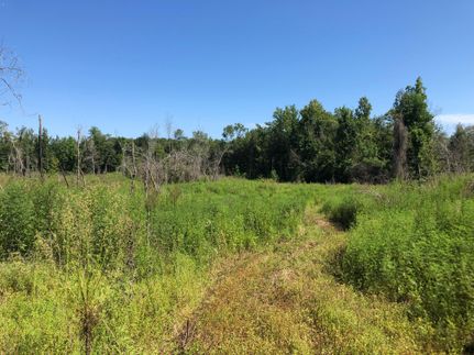 Undeveloped Land in Tallapoosa County, Alabama