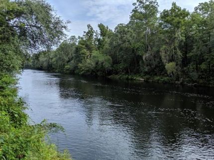 Undeveloped Land in Madison County, Florida