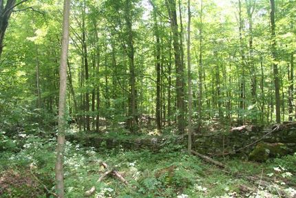 Undeveloped Land in Wayne County, Pennsylvania