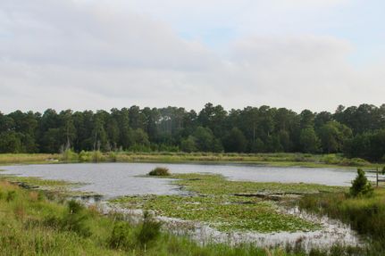 Timberland Property in Fayette County, Texas