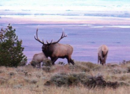 Farm and Ranch in Albany County, Wyoming