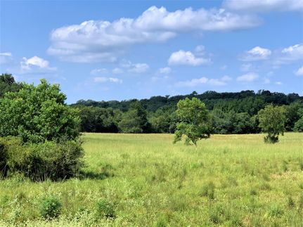 Land in Austin County, Texas