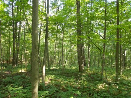 Recreational Property in Lapeer County, Michigan