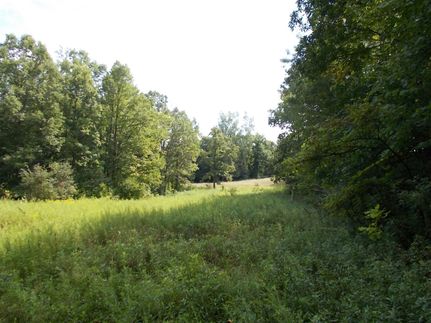 Farm and Ranch in Lapeer County, Michigan
