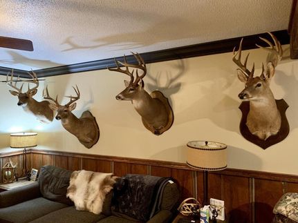 Land in Marengo County, Alabama