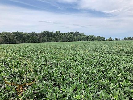 Land in Pike County, Missouri