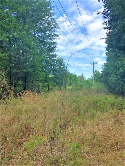 Farm and Ranch in Bowie County, Texas