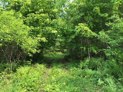 Land in Pepin County, Wisconsin